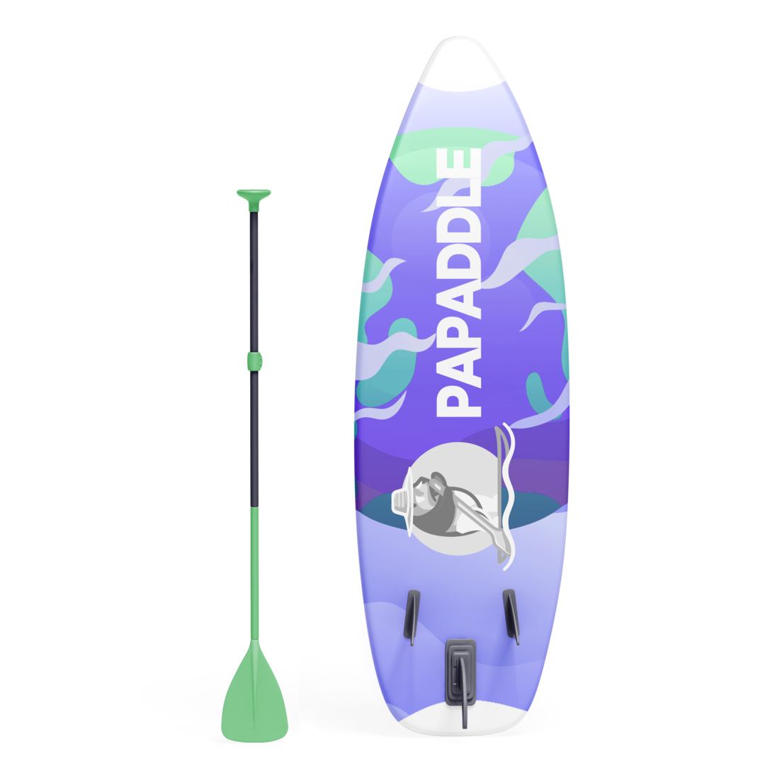 Modèle PLANET de PAPADDLE – Image 9